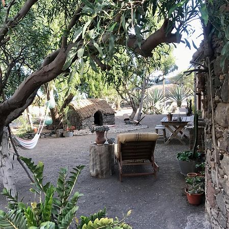 Ecolodge Kasa D'Igreja Chã da Igreja Dış mekan fotoğraf