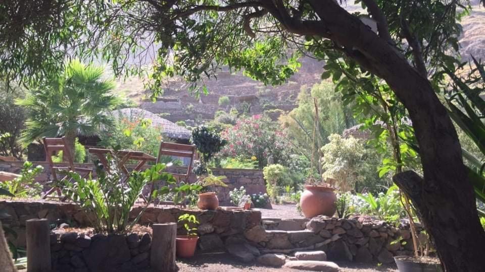 Ecolodge Kasa D'Igreja Chã da Igreja Dış mekan fotoğraf