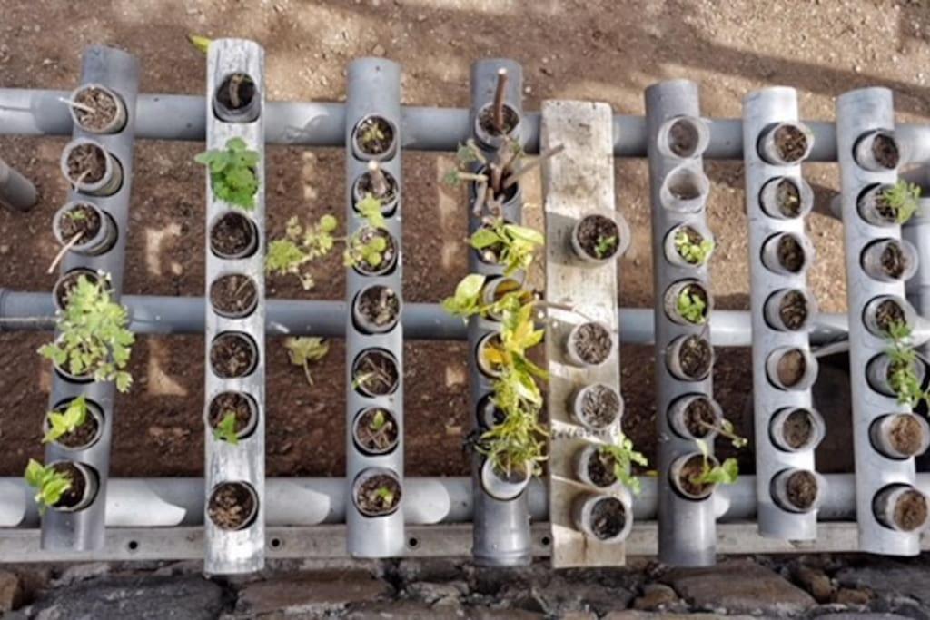 Ecolodge Kasa D'Igreja Chã da Igreja Dış mekan fotoğraf